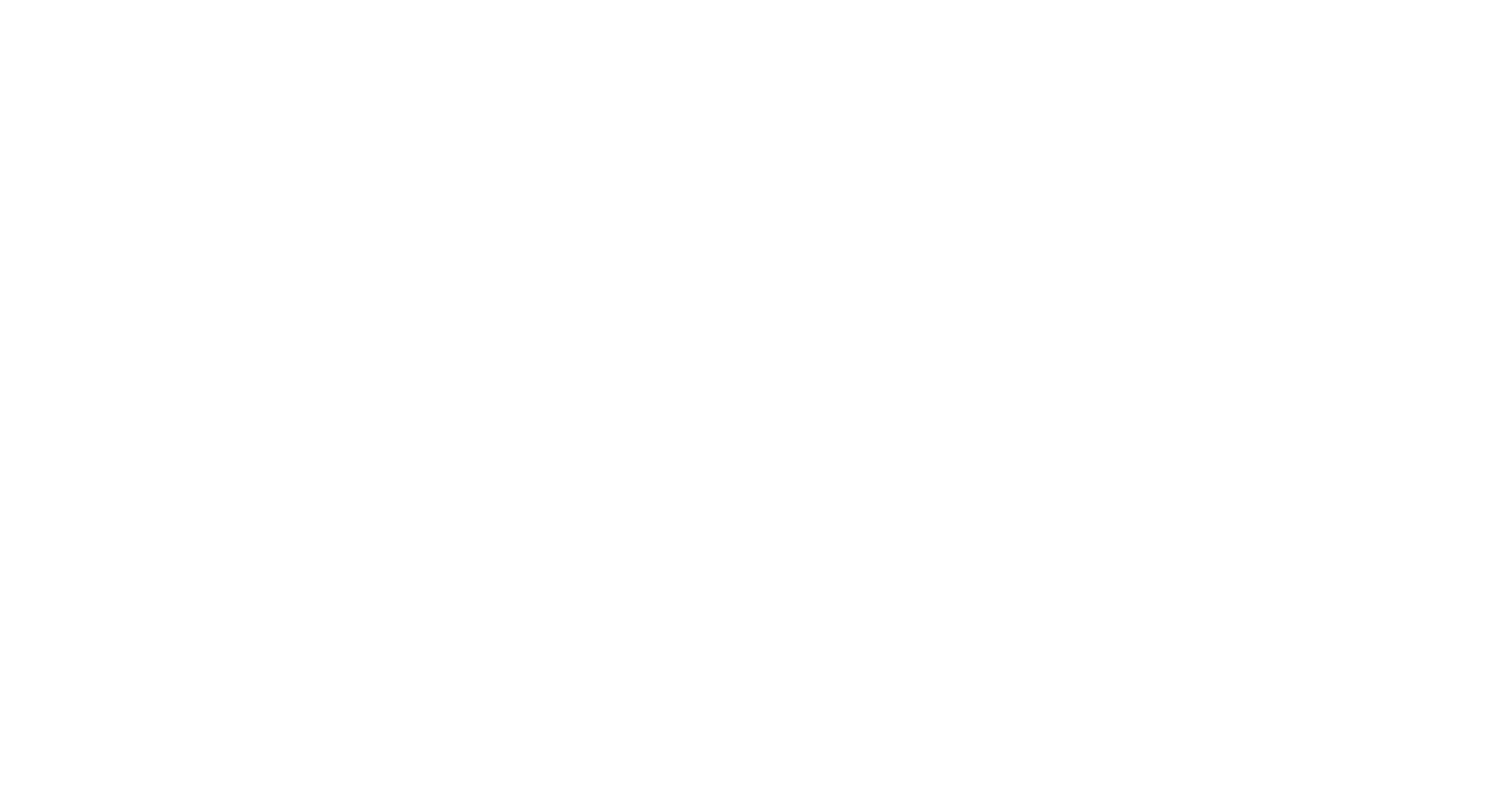 Fussy logo